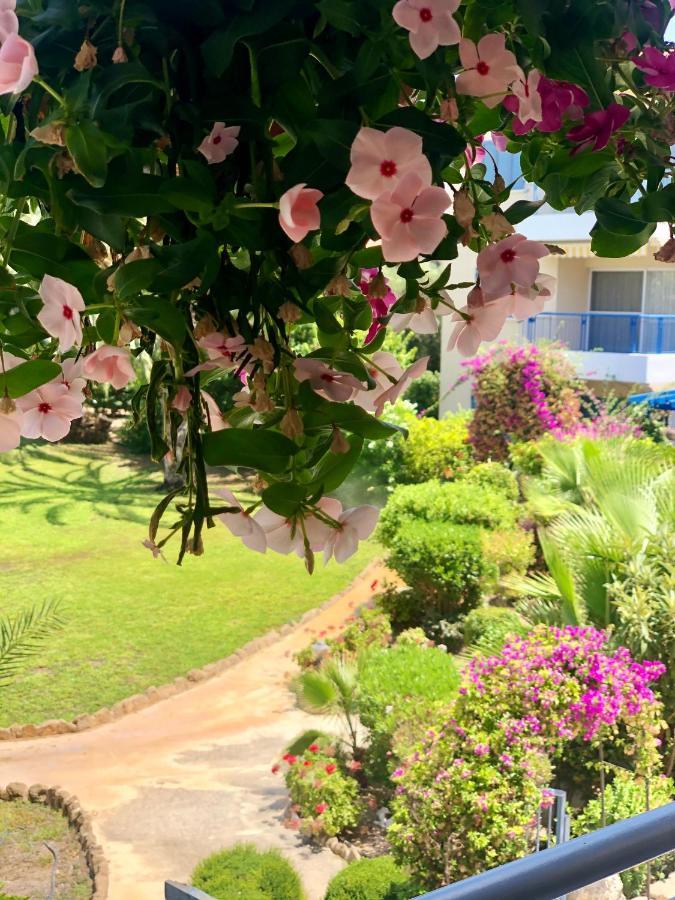 Holiday Apartment Walking Distance To The Sea Πάφος Εξωτερικό φωτογραφία