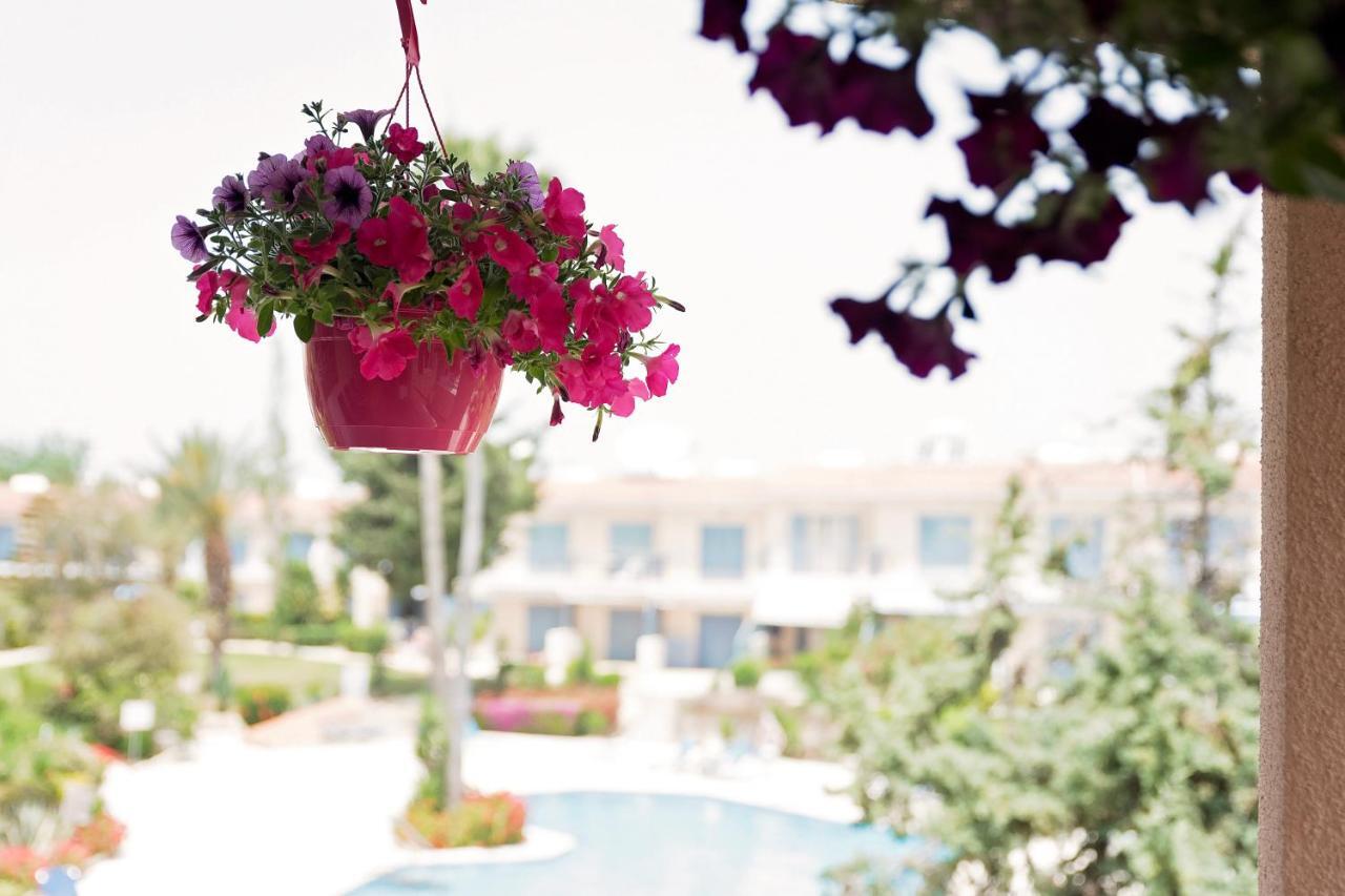 Holiday Apartment Walking Distance To The Sea Πάφος Εξωτερικό φωτογραφία